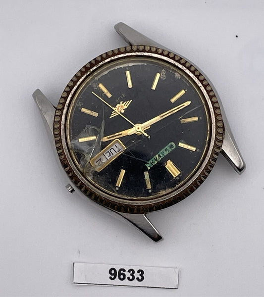 PROJECT FIX CITIZEN COIN RIMMED SS CASE AUTO DAY DATE WATCH 9633